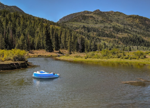 A small blue and white boat floats on a calm river surrounded by lush green trees and mountains under a clear blue sky.