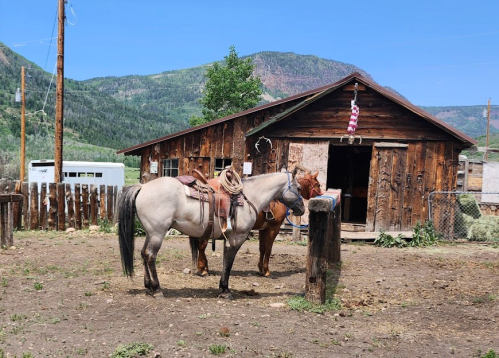 Two horses stand near a rustic wooden barn with mountains in the background and an American flag hanging.