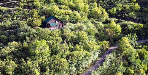 A secluded cabin nestled among lush green trees on a hillside, with a winding dirt path leading up to it.