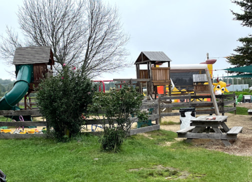 A playground with wooden structures, slides, and a picnic table, surrounded by grass and trees on a cloudy day.