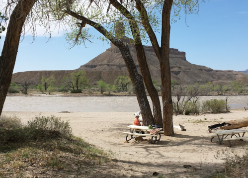 A serene riverside scene with a picnic table under trees, overlooking a sandy beach and a distant rocky formation.