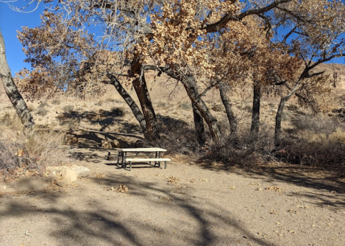 A picnic table sits in a dry, sandy area surrounded by bare trees and sparse vegetation under a clear blue sky.