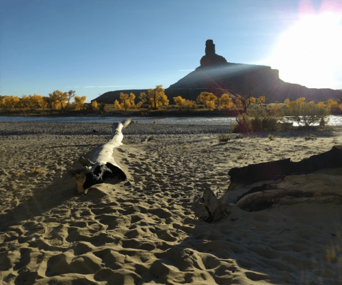 A sunlit landscape featuring a sandy riverbank, a large log, and a distant rock formation surrounded by autumn trees.