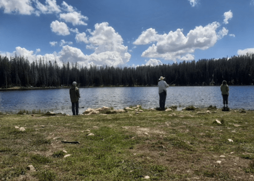 Three people fishing by a serene lake surrounded by trees and a blue sky with fluffy clouds.