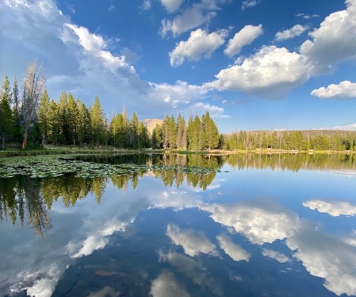 A serene lake reflecting trees and clouds under a blue sky, surrounded by lush greenery.