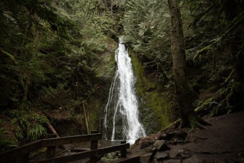 A serene waterfall cascades down moss-covered rocks, surrounded by lush green trees in a tranquil forest setting.