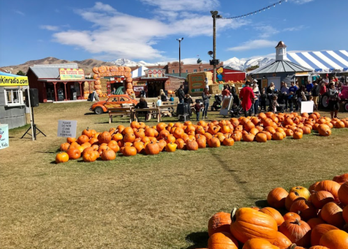 A pumpkin patch at a fair, with numerous pumpkins on the ground and people enjoying the festivities under a blue sky.