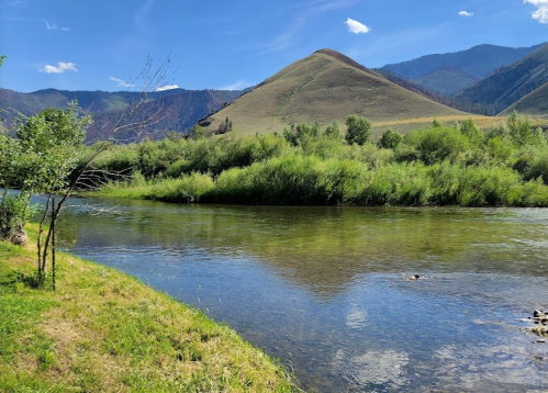 A serene river flows through lush greenery, with rolling hills and blue skies in the background.