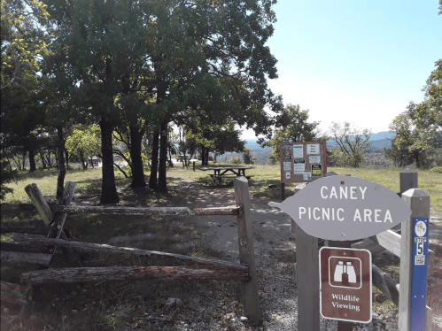 Sign for Caney Picnic Area with picnic tables and trees in the background, set in a scenic outdoor location.