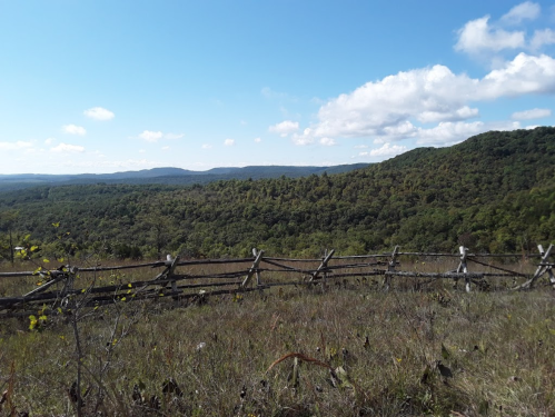 A scenic view of rolling hills and a wooden fence under a blue sky with fluffy clouds.