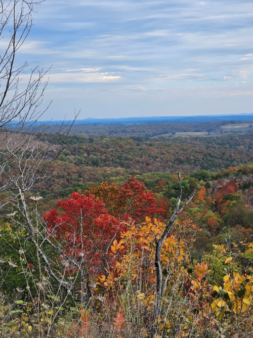 A scenic view of a colorful autumn landscape with red and orange trees, rolling hills, and a cloudy sky.
