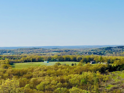 A panoramic view of rolling green hills and fields under a clear blue sky, with scattered trees and a distant horizon.