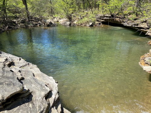 A serene natural pool surrounded by rocky edges and lush greenery, reflecting clear blue water under sunlight.