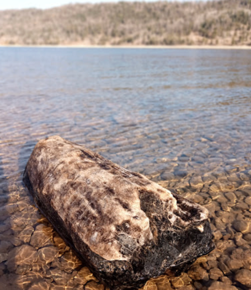 A large, smooth rock partially submerged in clear water, with a blurred landscape in the background.