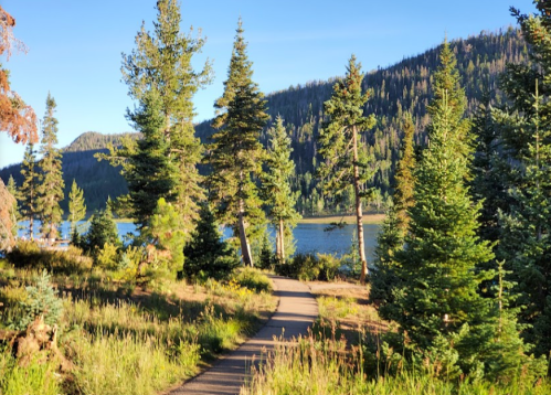 A winding path through lush greenery leads to a serene lake surrounded by tall trees and mountains in the background.