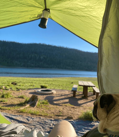 A view from inside a tent, showing a lake and mountains, with a dog resting beside a person’s leg.