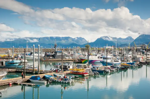 A scenic harbor filled with various boats, surrounded by mountains and a clear blue sky.