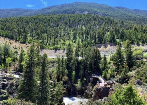 A scenic view of a lush green forested landscape with a river and mountains under a clear blue sky.