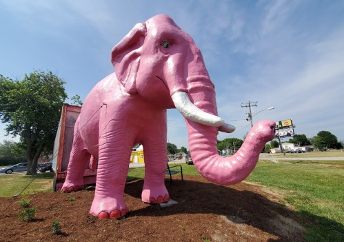 A large pink elephant statue stands on a grassy area, with trees and a road in the background under a blue sky.