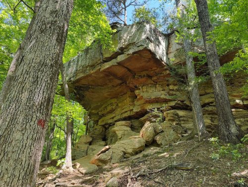 A large rock formation sits atop a cliff, surrounded by lush green trees in a forested area.