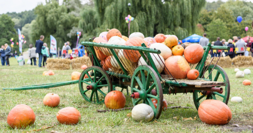 An old green wagon is filled with a variety of pumpkins at a fall event.