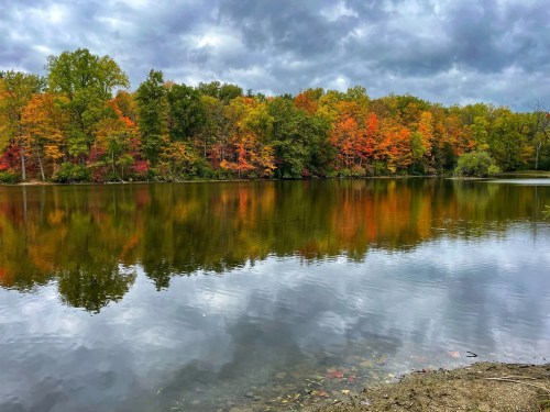 A serene lake reflects vibrant autumn foliage under a cloudy sky, creating a picturesque fall scene.