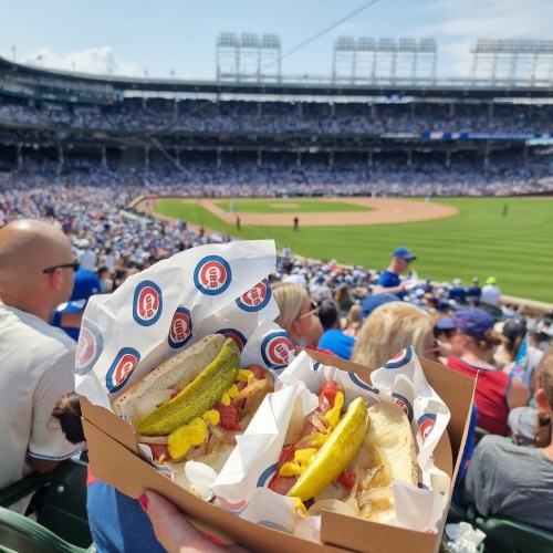 A hand holding a box of hot dogs with toppings, with a crowded baseball stadium in the background.