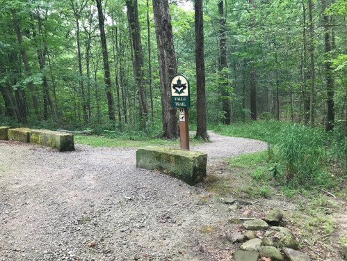 A sign for Falls Trail in a lush green forest, with a gravel path curving into the trees.