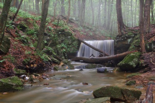 A serene forest scene featuring a small waterfall cascading over rocks, surrounded by lush greenery and mist.