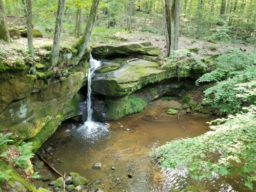 A serene waterfall cascades over moss-covered rocks into a calm pool, surrounded by lush green forest.
