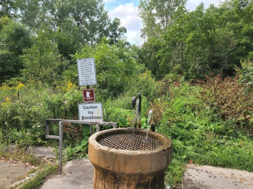 A water fountain surrounded by greenery, with caution signs about icy conditions nearby.