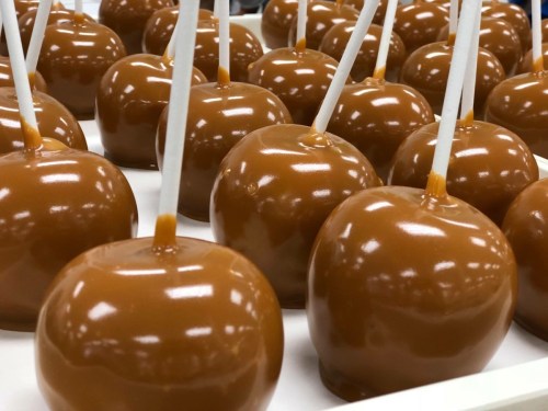 A close-up of several caramel-coated apples on a white display, each with a stick for easy handling.