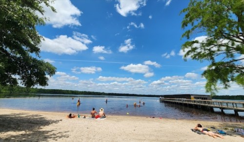 A sunny beach scene with people swimming and relaxing by a calm lake under a blue sky with fluffy clouds.