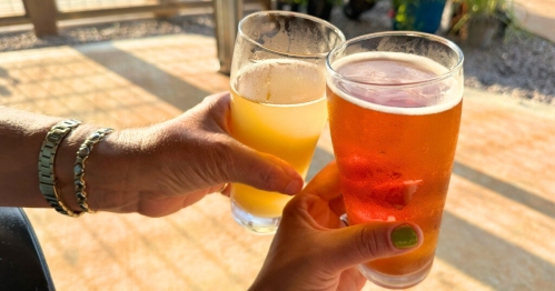 Two hands clink glasses of light and dark beer in a sunny outdoor setting.