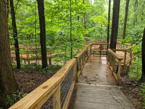 A wooden boardwalk winds through a lush green forest, surrounded by trees and foliage after rain.