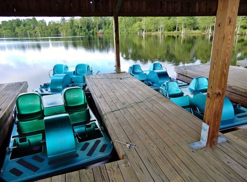 Row of teal paddle boats docked under a wooden shelter by a calm lake surrounded by trees.