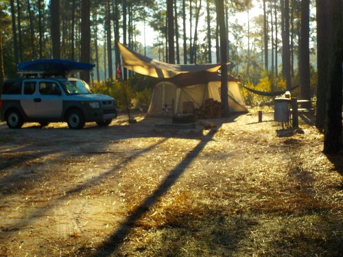 A campsite in a forest with a tent, a parked SUV, and long shadows cast by trees in the early morning light.