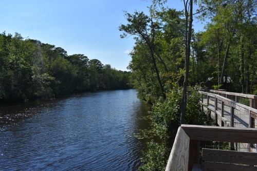 A serene river flows through a lush green landscape, with a wooden walkway along the bank under a clear blue sky.