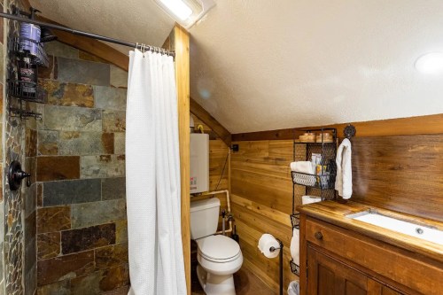 Cozy bathroom with wooden walls, a shower curtain, toilet, sink, and stone accents.