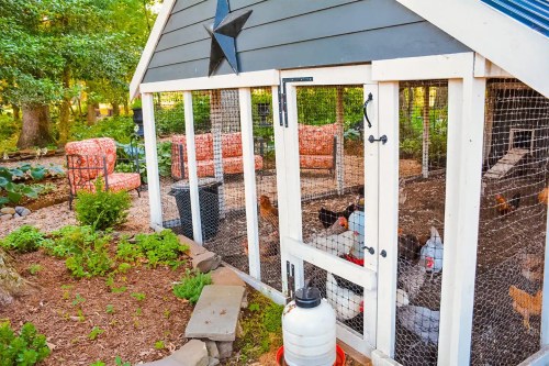 A chicken coop with a star decoration, surrounded by greenery and outdoor seating in a garden setting.