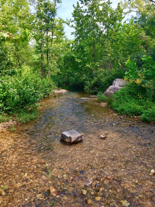 A serene stream flows through a lush green forest, with rocks visible in the clear water and trees lining the banks.