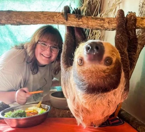 A smiling person poses with a sloth hanging from a branch, surrounded by colorful food on a table.