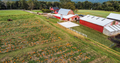 aerial shot of farm buildings that are painted red and a large pumpkin patch at cucumberhill farm in foster rhode island
