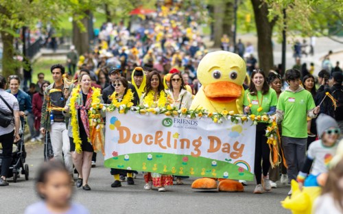 A lively parade scene with people in colorful attire, holding a "Duckling Day" banner, and a large duck mascot.