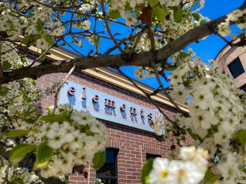 A building with the sign "Elements Contemporary Art" partially obscured by blooming white flowers against a blue sky.