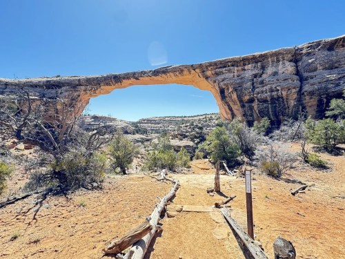 A natural stone arch rises above a sandy path, surrounded by desert vegetation and rocky terrain under a clear blue sky.