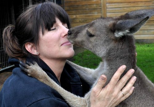 A woman smiles as a kangaroo gently nuzzles her face in a warm, affectionate moment.
