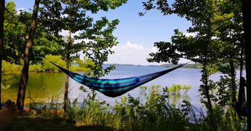A colorful hammock hangs between trees by a serene lake, surrounded by greenery and a clear blue sky.
