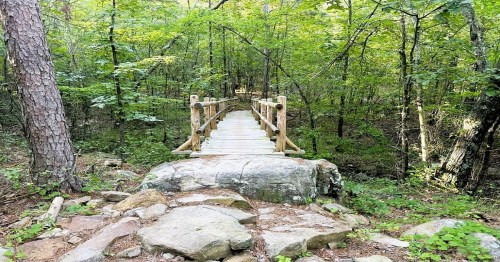 A wooden bridge spans a rocky path in a lush green forest, surrounded by trees and foliage.