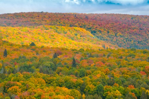 Vibrant autumn foliage covers rolling hills, showcasing a mix of orange, yellow, and green trees under a cloudy sky.